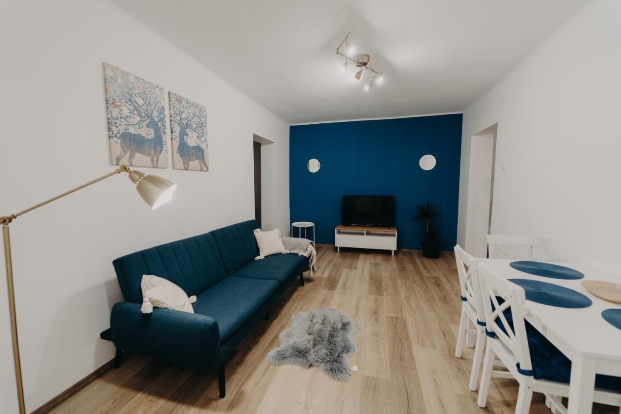 Apartamentul Albastru Vatra Dornei Exterior photo